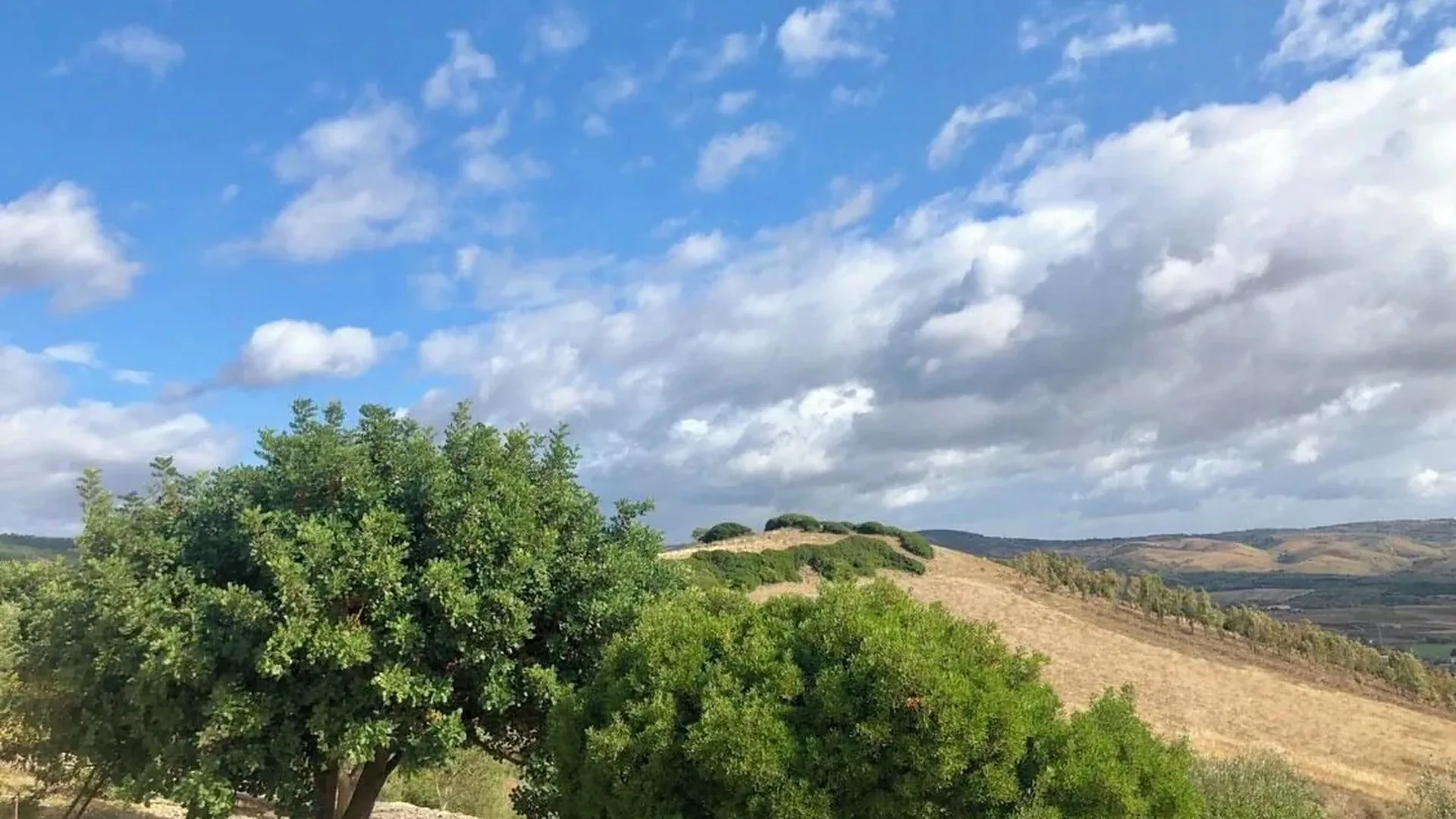 Case Vacanze in Sardegna, 