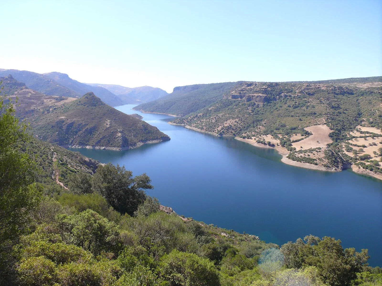 Veduta dall'alto del lago del basso Flumendosa, un lungo braccio d'acqua blu tra colline ricoperte di macchia mediterranea e campi dorati
