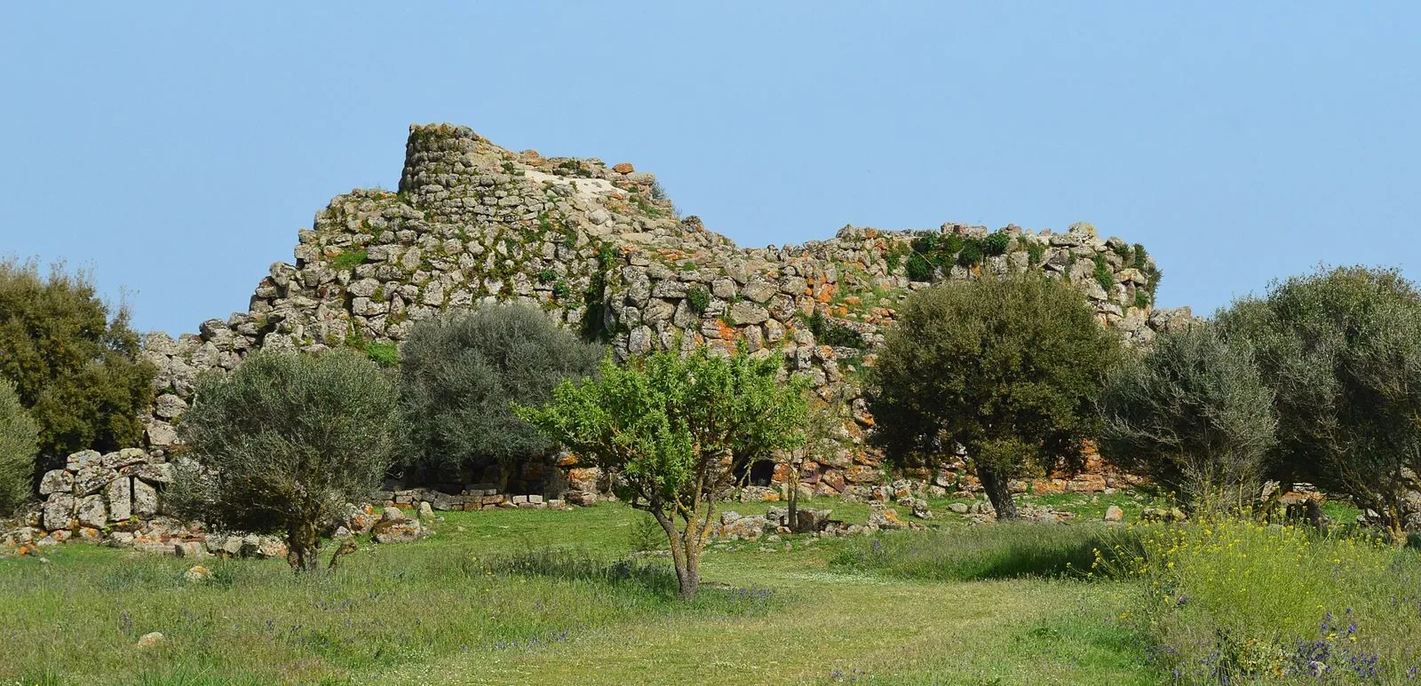 Veduta del Nuraghe Arrubiu di Orroli: mura e torri in blocchi di basalto con licheni aranciati, circondate da olivi e da un prato fiorito in primavera