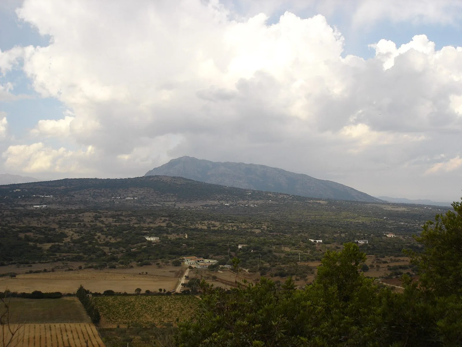 Vista dall'alto della campagna sarda con un vigneto, campi arati e macchia, colline e una montagna sullo sfondo sotto grandi nuvole bianche